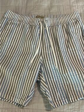 J. Crew Blue, White and Gray Striped Swim Trunks